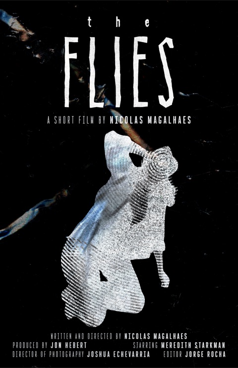 Poster for The Flies